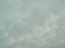 Filename=PICT3694a.jpg
Filesize=87KiB
Dimensions=1280x960
Date added=Jan 04, 2013 PICT3694a.jpg
